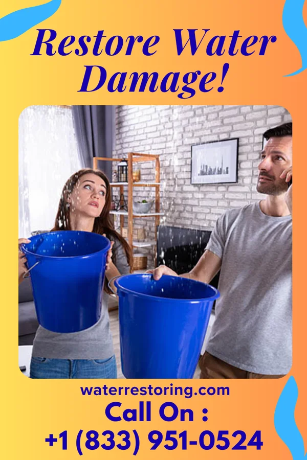 water restoration Prestige Damage Restoration Pros Garden City