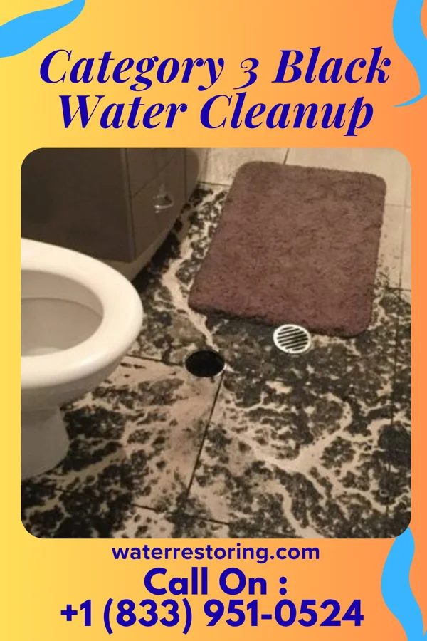 Category 3 Black Water Cleanup in Garden City, AL